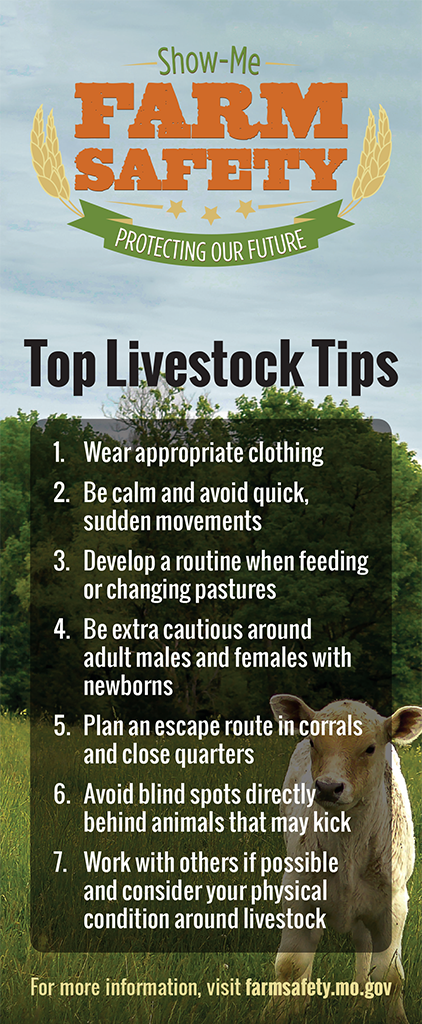 Top Livestock Safety Tips