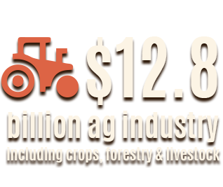Missouri agricultural industry totals $12.8 billion dollars including crops, forestry, and livestock.